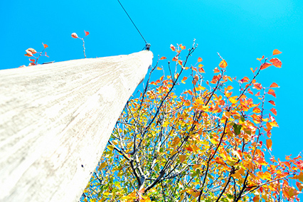 A different perspective on Autumn photography