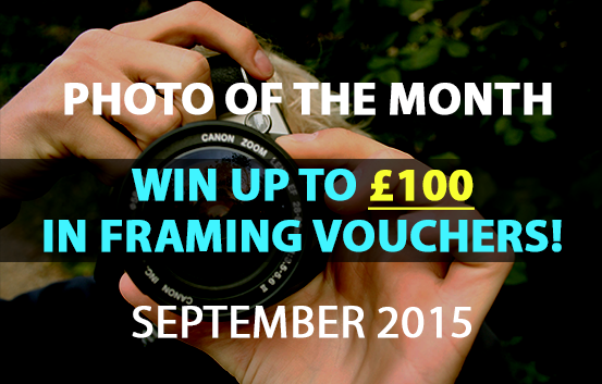 photo of the month competition September 2015