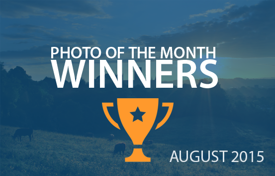 photography competition August 2015 winners