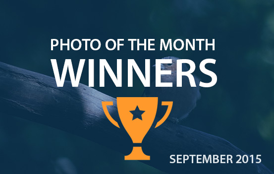 photography competition September 2015 winners