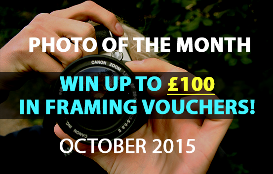 photo of the month competition October 2015