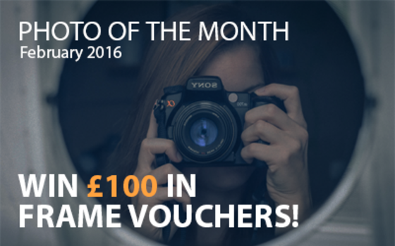 Best4Frames - Photo of the Month Competition: February 2016
