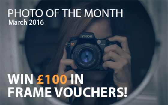 Best4Frames - Photo of the Month Competition: March 2016