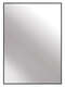 Nielsen Alpha Wall Mirror Black Oak 50x70cm main 2-