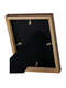 Nielsen Apollo Wenge strut back
