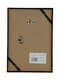 Nielsen Colorado Black back of the frame